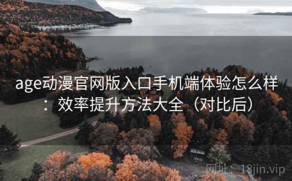 age动漫官网版入口手机端体验怎么样：效率提升方法大全（对比后）