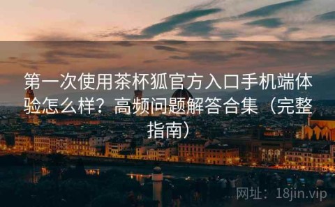 第一次使用茶杯狐官方入口手机端体验怎么样？高频问题解答合集（完整指南）
