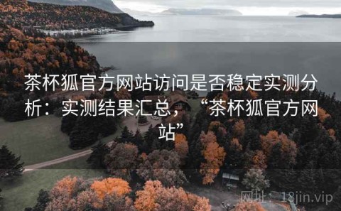茶杯狐官方网站访问是否稳定实测分析：实测结果汇总，“茶杯狐官方网站”