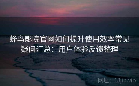 蜂鸟影院官网如何提升使用效率常见疑问汇总：用户体验反馈整理
