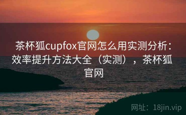 茶杯狐cupfox官网怎么用实测分析：效率提升方法大全（实测），茶杯狐 官网