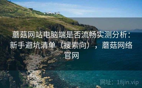 蘑菇网站电脑端是否流畅实测分析：新手避坑清单（搜索向），蘑菇网络官网