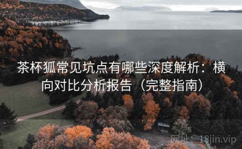 茶杯狐常见坑点有哪些深度解析：横向对比分析报告（完整指南）