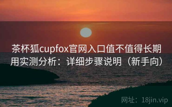 茶杯狐cupfox官网入口值不值得长期用实测分析：详细步骤说明（新手向）
