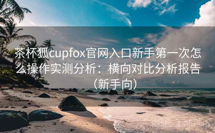 茶杯狐cupfox官网入口新手第一次怎么操作实测分析：横向对比分析报告（新手向）