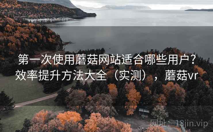 第一次使用蘑菇网站适合哪些用户？效率提升方法大全（实测），蘑菇vr