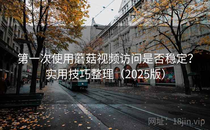 第一次使用蘑菇视频访问是否稳定？实用技巧整理（2025版）