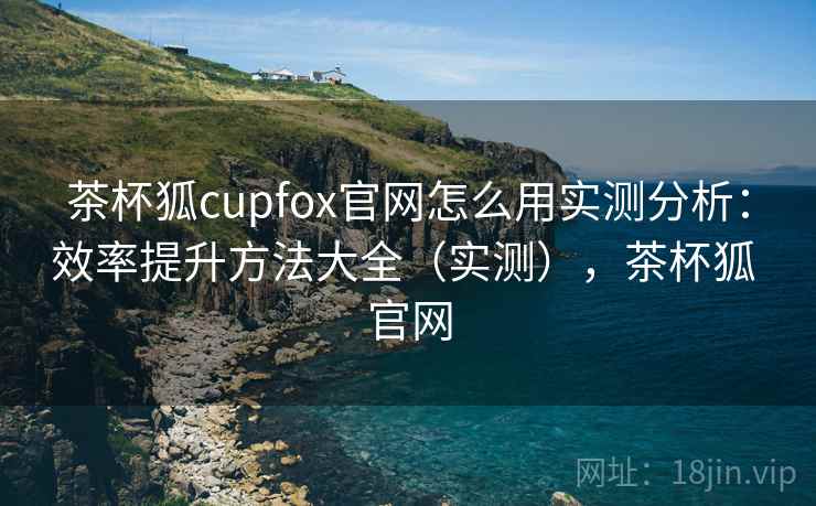 茶杯狐cupfox官网怎么用实测分析：效率提升方法大全（实测），茶杯狐 官网